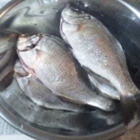 釣り魚 タナゴの煮付け レシピ 作り方 By ゆみぽぽぽぽーん 楽天レシピ 釣り魚 タナゴの煮付け レシピ 作り方 By ゆみぽぽぽぽーん 楽天レシピ